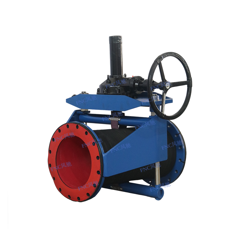 Open Corpus ternum Valvulae