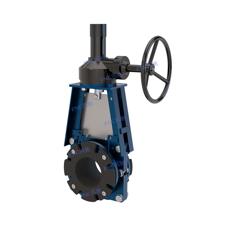 KGV-Portus cultri valvulae KGV-Portus cultri valvulae