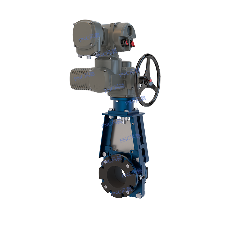 KGV-Portus cultri valvulae KGV-Portus cultri valvulae